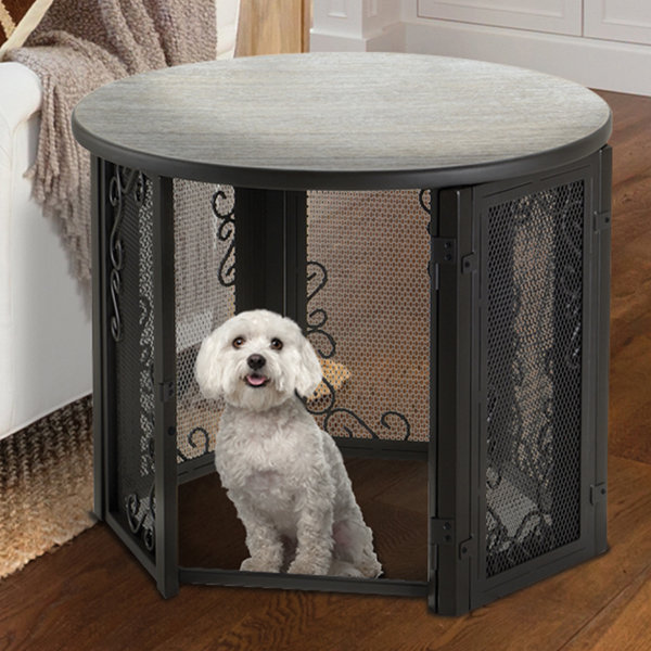 Richell Accent Table Pet Crate & Reviews Wayfair